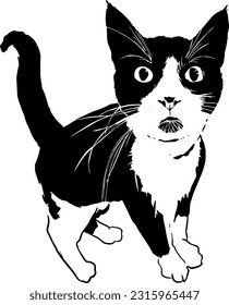 Serious Cat Silhouette Vector Illustration