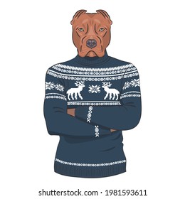 Serious dog in a sweater with a winter pattern with deer. Vector print illustration for sweatshirts, sweatshirts, t-shirts, posters, cards, pet supplies