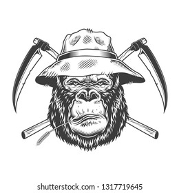 Serious gorilla head in panama hat with straw and crossed scythes in vintage monochrome style isolated vector illustration