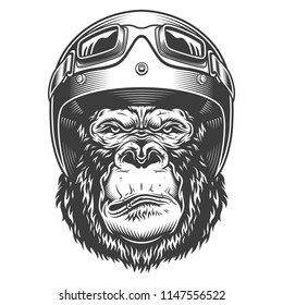 Serious gorilla in monochrome style in the biker helmet. Vector illustration