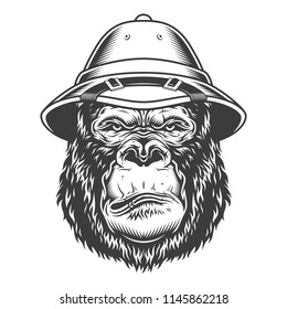 Serious gorilla in monochrome style in safari hat. Vector illustration