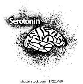 Serotonin Brain