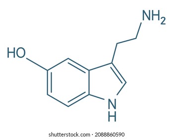 Serotonin Chemical Formula, Molecule Structure On White Background