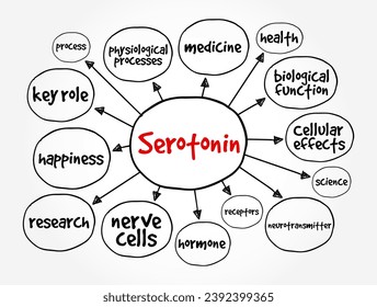 Serotonin is a chemical that carries messages between nerve cells in the brain and throughout your body, mind map text concept background