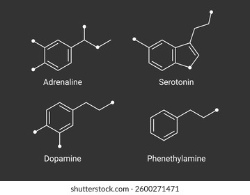 Serotonin, Dopamine, Adrenaline, and Phenethylamine Chemical Structures illustration. Neurotransmitter molecular formula vector. 