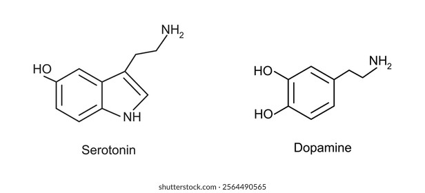 serotonin dopamine chemical structure vector design