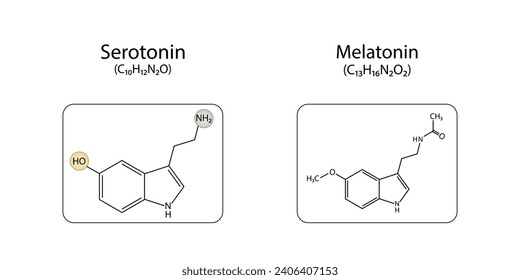 Serotonin and Melatonin structural chemical formula. Isolated on white background. Vector illustration.