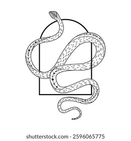 Serpent entwined in a minimalist design revealing a mystical aura