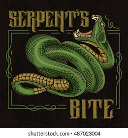 Serpent's bite. Stylish vector illustration of viper snake with designed frame in vintage style.