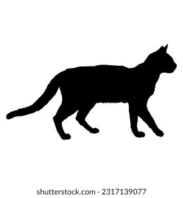Serrade Petit cat silhouette cat breeds vector