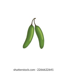 Serrano. Green serrano chill peppers. Chile serrano or serrano chilis. Vector illustration isolated on white background. For template label, packing, web, menu, logo, textile, icon