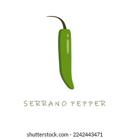 ilustración del vector de diseño plano de pimienta serrano. Capsicum annuum serrano chili