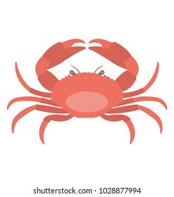
A serrated mud crab, seafood flat icon
