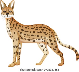 Serval animal isolated on white background illustration