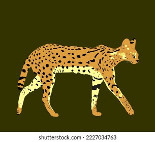 Serval cat vector illustration isolated on background. Leptailurus serval symbol. Wild cat from Africa.