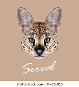 Serval cat wild animal face. Vector cute African savannah serval kitten Leptailurus serval head portrait. Realistic fur portrait of beautiful spotted serval kitty isolated on beige background.
