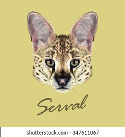 Serval cat wild animal face. Vector cute African savannah serval kitten Leptailurus serval head portrait. Realistic fur portrait of beautiful spotted serval kitty isolated on yellow background.