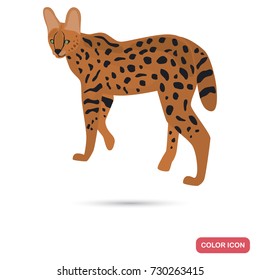 Serval color flat icon for web and mobile design