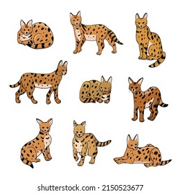 Serval wild african cat vector illustrations set