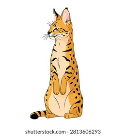 Serval Wild Cat Sitting Alert, African Feline Animal Character Vector Illustration Isolated on White