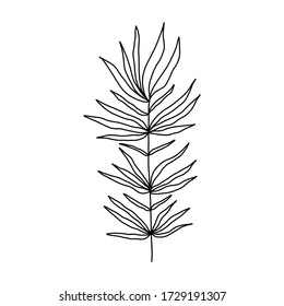  Serve with leaves. Botanical illustration. Black and white engraved ink art. Leaves of plants of a botanical garden, flower foliage. Isolated leaf illustration element. Vector design elements.