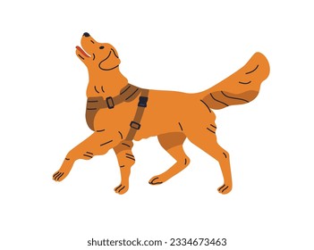 Service dog, canine animal. Trained obedient doggy. Faithful educated smart pet of golden retriever breed, standing and looking up with obedience. Flat vector illustration isolated on white background