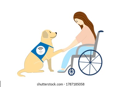 Service dog and patient in a wheelchair illustration. Fluffy pet on duty.Animal Therapy landing page. Canis therapy with labrador design. 