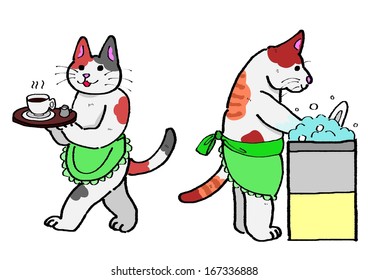serving coffee,washing dishes