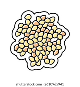sesame allergen free product food color icon vector. sesame allergen free product food sign. isolated symbol illustration