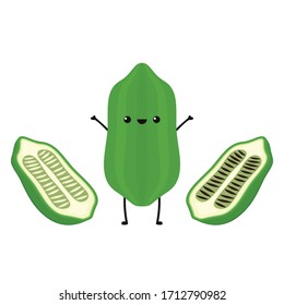 Sesame character design. Sesame vector. sesame on white background.