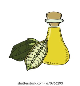 Sesame oil bottle or jug, nuts, natural organic butter ingredient. Hand drawn ink sketch illustration. Sesame seed, pods isolated on white. Treatment, care, food ingredient.