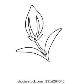 sesame One continuous line drawing