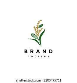 Sesame Plant Between Rice Plants Logo Design