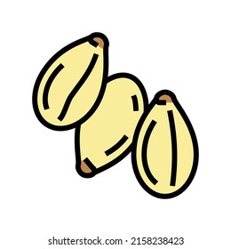 sesame seed color icon vector. sesame seed sign. isolated symbol illustration