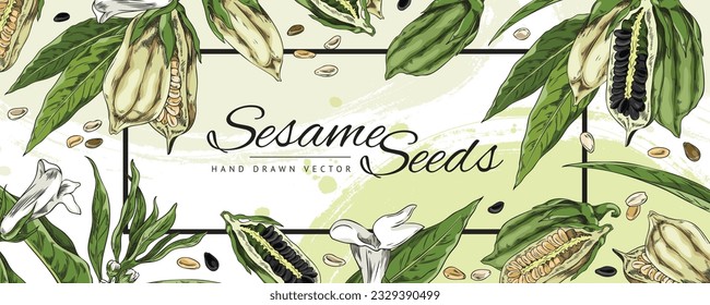 Sesame seeds banner or label template for spices and food packaging design, hand drawn sketch style vector illustration. Banner with sesame oil plant decorative elements.