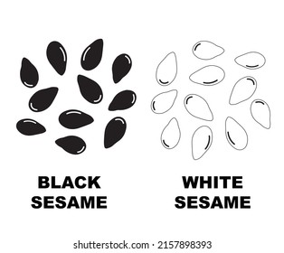 Sesame Seeds Isolated On White Background. Sesame Seeds Vector