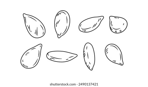 Sesame seeds isolated in outline drawing vector.	