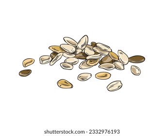 Ilustración vectorial de semillas de sésamo. Especias, comida orgánica, granos crudos, condimento natural, maíz. Esbozo de color dibujado a mano aislado en blanco. Nueces sanas agrícolas vegetales, aceite e ingredientes de mantequilla