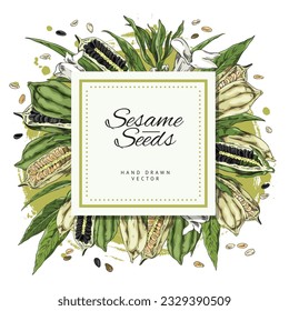 Sesame seeds spices and food ingredient label design with plant elements, hand drawn vintage sketch style vector illustration isolated on white background.