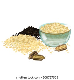 Sesame seeds vector illustration.
