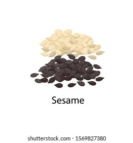 Sesame Seeds - Vector Illustration In Flat Design Isolated On White Background.