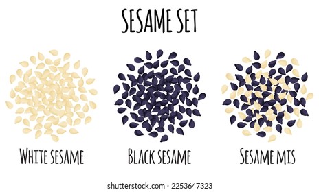 Sesame set with White, Black and mix sesame. Natural organic food collection. Vector cartoon isolated illustration.