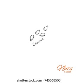 Sesame. Vector  Hand drawn  objects . Isolated on white. Sketch style