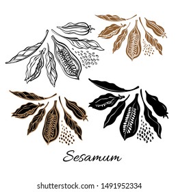 Sesame. Vector Set. Natural Seed, Organic Oil, Vegan Milk, Bio Spice. Hand Drawn Sketch In White Background. Healthy Plant. 