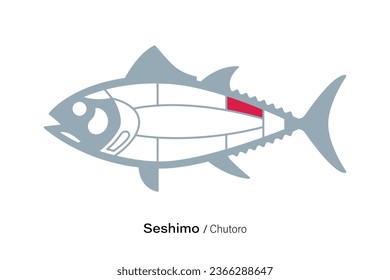 Seshimo Chutoro.Tuna Cuts line diagram.  Japanese style