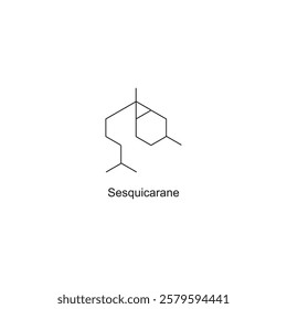 Sesquicarane skeletal structure.Sesquiterpene compound schematic illustration. Simple diagram, chemical structure.