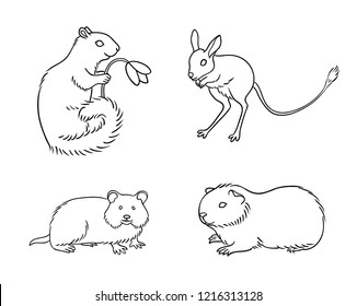 Set #1 of rodents in contours - vector illustration. EPS8