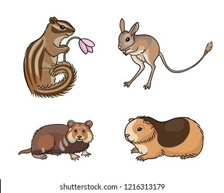 Set #1 of rodents - vector illustration. EPS8