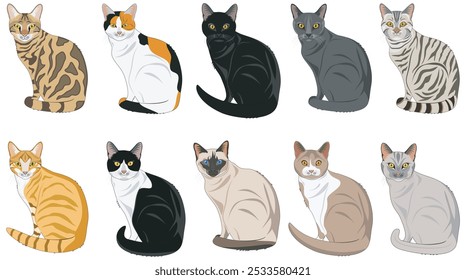 set of 10 cats of different breeds and colors beautiful feline pets in vector illustration isolated on white background 1