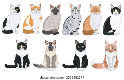 conjunto de 10 gatos de diferentes raças e cores belos felinos animais de estimação em ilustração vetorial isolado no fundo branco 2